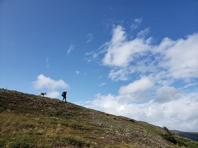 photo of a hiker on montanna mountain on a sunny afternoon